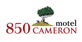850 Cameron Motel in Tauranga